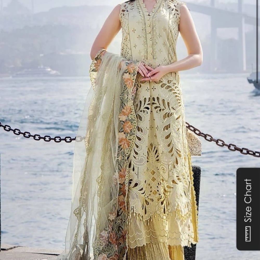 Elegant Embroidered Cream Dress